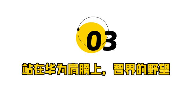 成真！刘亦菲拯救华为“亲儿子”九游会真人